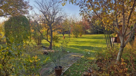 Az év utolsó két hónapja is tartogat feladatokat a kertben